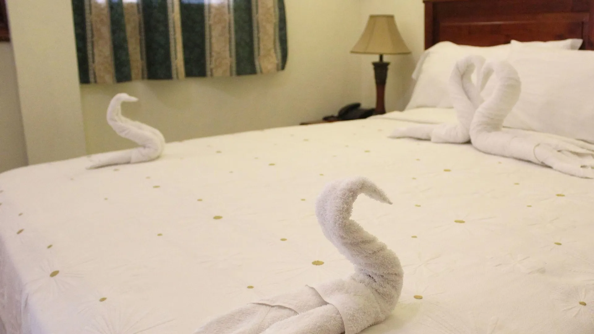 Hotel Salome 56 Santo Domingo