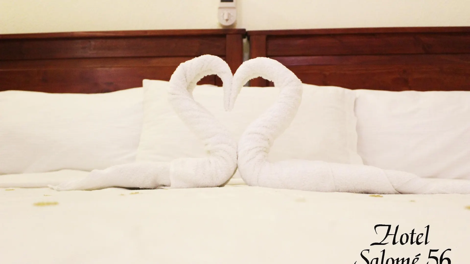 Hotel Salome 56 Santo Domingo