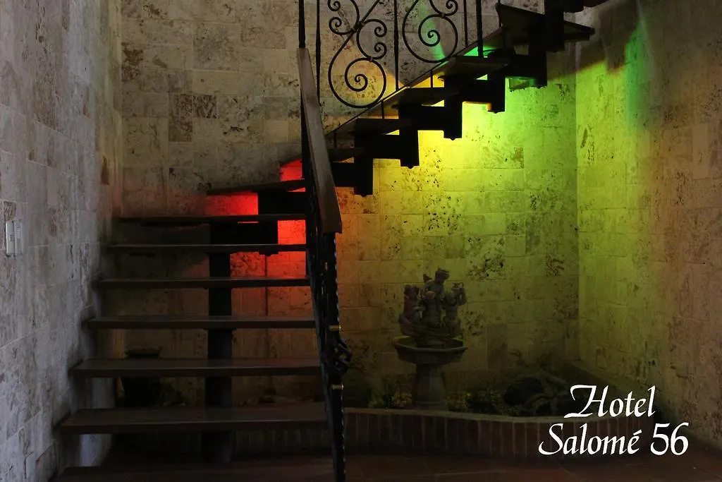 Hotel Salome 56 Santo Domingo